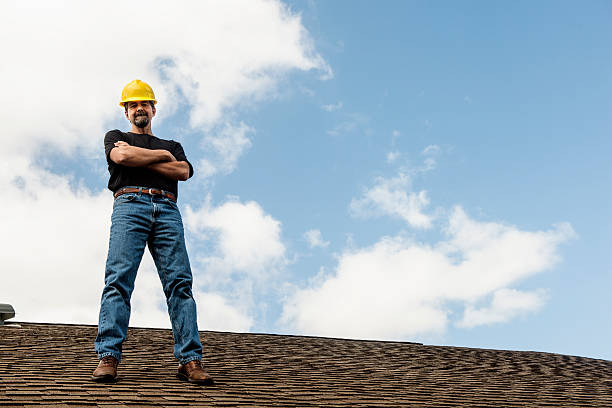 Roof Gutter Cleaning in Franklin Farm, VA